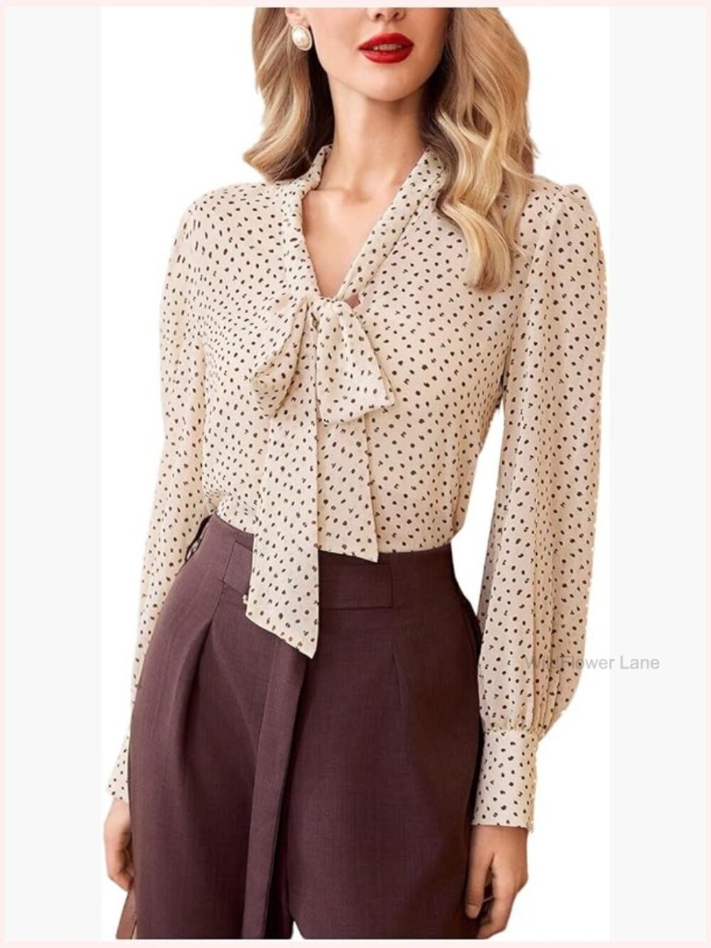 Polka Dot Chiffon Shirt Tie Neck Long Sleeve Blouse